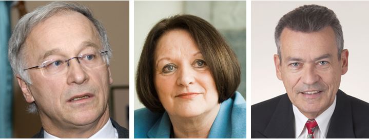 1Patzelt Schnarrenberger Bernhardt